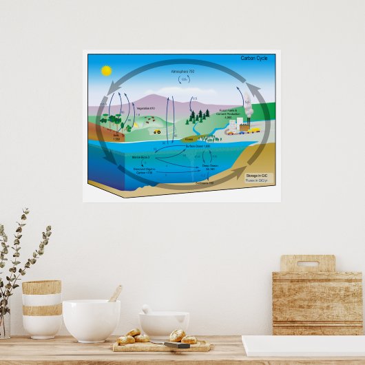 Schema van de biogeochemische koolstofcyclus poster (Keuken)