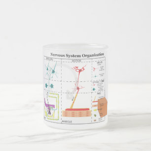 Schema van de fundamentele functies van het zenuws matglas koffiemok