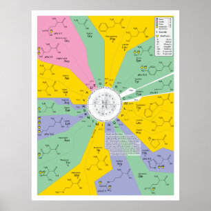 Schema van de genetische code met aminozuurresidue poster