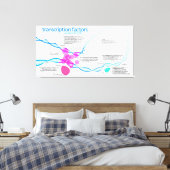 Schema van de gentranscriptiefactoren canvas afdruk (Insitu (Slaapkamer))