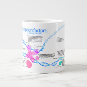 Schema van de gentranscriptiefactoren jumbo beker