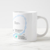 Schema van de gentranscriptiefactoren jumbo beker (Rechts)