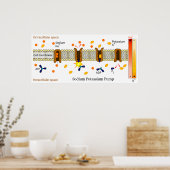 Schema van de kaliumpomp in natrium poster (Keuken)