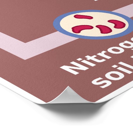 Schema van de stikstofcyclus van de aarde poster (Hoek)