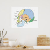 Schema van de volwassen mens poster (Keuken)