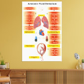 Schema van een amniotisch vochtembolie AFE Canvas Afdruk (Insitu (Woonkamer))