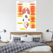 Schema van een amniotisch vochtembolie AFE Canvas Afdruk (Insitu (Slaapkamer))