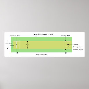 Schema van een cricketpitch met metingen poster