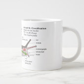 Schema van een gemeenschappelijke tuinslak (Helix  Extra Grote Mok (Rechts)