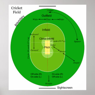 Schema van een grijs ovaal vormig cricketveld poster