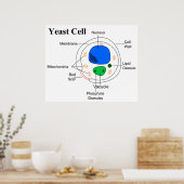Schema van een microorganisme Fungi-gele cel Poster (Keuken)