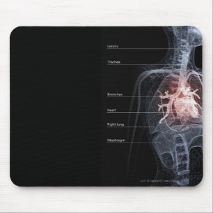 Schema van het ademhalingssysteem en het hart muismat