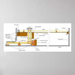 Schema van het muziekinstrument Harpsichord Poster