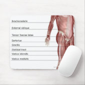 Schema van het spierstelsel muismat (Met muis)