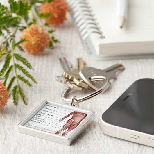 Schema van het spierstelsel sleutelhanger (Zijkant)