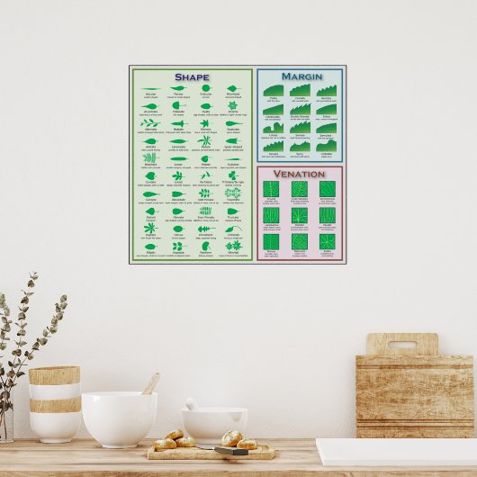 Schema van lebmorfologische vormgeving Venatiemarg Poster (Keuken)