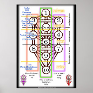 Schema van levenscyclus   Alle grootten Poster