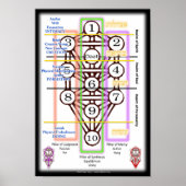 Schema van levenscyclus | Klein Poster (Voorkant)