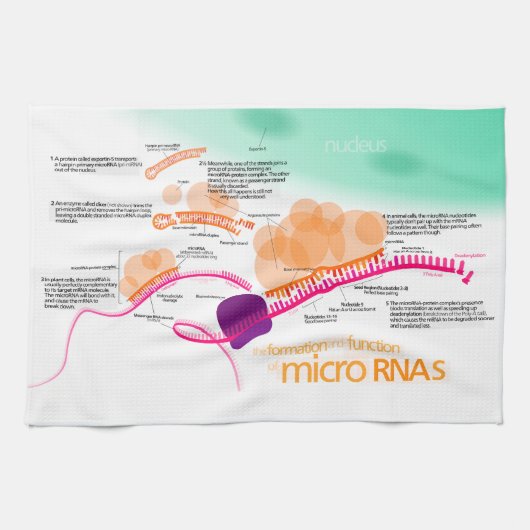 Schema van microRNA Theedoek (Horizontaal)
