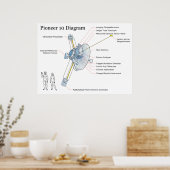 Schema van NASA Space Sattelite Pioneer 10 Poster (Keuken)