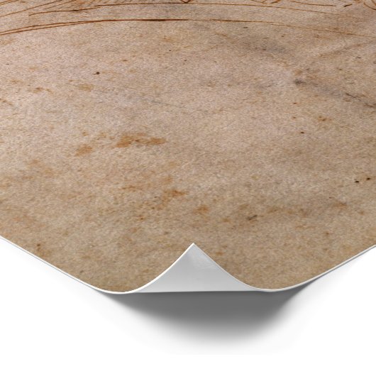 Schema voor het plafond van de zustpijpleiding, c. poster (Hoek)