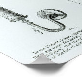 Schema's van gloeilampen en steunen daarvan poster (Hoek)