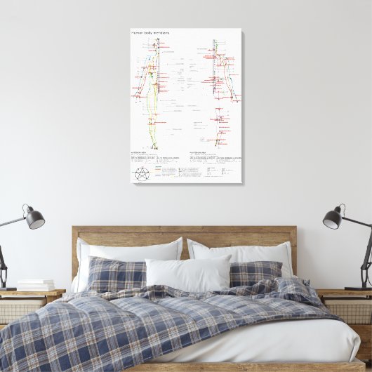 Schematische Grafiek Chinese Meridians Canvas Afdruk (Insitu (Slaapkamer))
