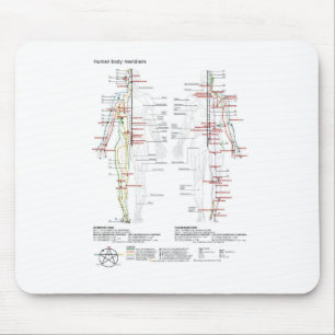 Schematische Grafiek Chinese Meridians Muismat
