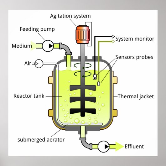 Schematische structuur van een bioreactor van het poster (Voorkant)