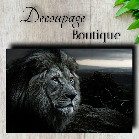 Schemer Licht Koning Decoupage Tissuepapier