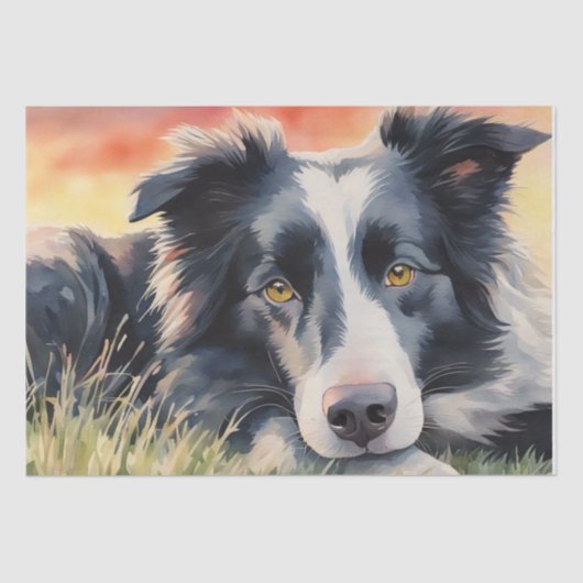 schemerharmonie: Border Collie Decoupage Tissuepapier (Voorkant)