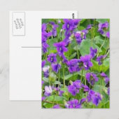 Schendingen van hout van de Wisconsin - Gepersonal Briefkaart (Voorkant / Achterkant)