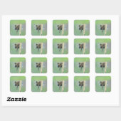 Schepnetvlinder Vierkante Sticker (Vel)