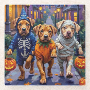 Scherpe Honden Trick-or-Treating Halloween Kostuum Glazen Onderzetter