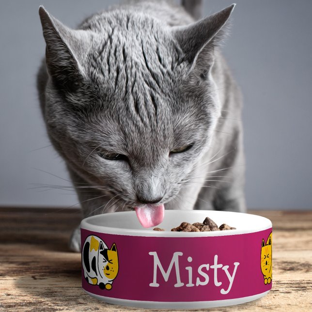 Schets Calico en Tabby katten Aanpasbaar Voerbakje (Creator heeft geüpload)