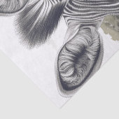 schets met Afrikaanse Zebra-potlood Tissuepapier (Detail)