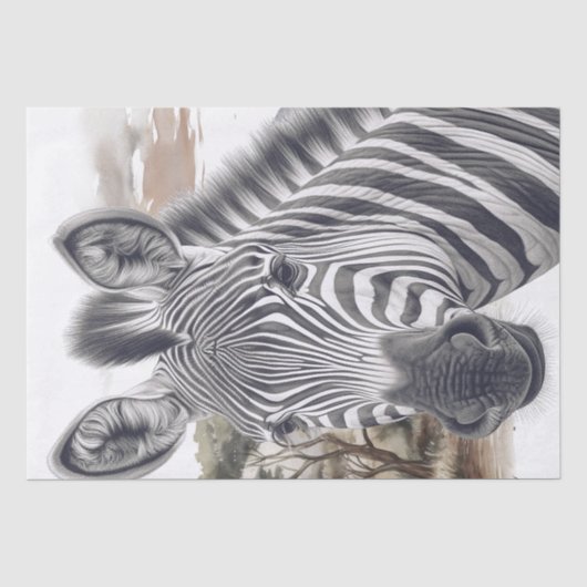 schets met Afrikaanse Zebra-potlood Tissuepapier (Voorkant)