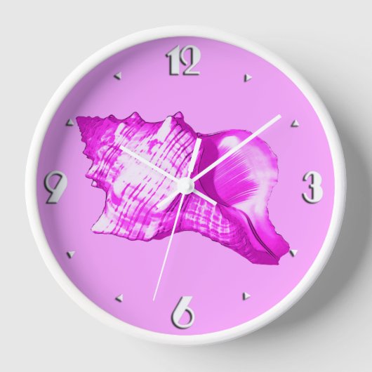 Schets van de schelp van de inkeping - schoppen va (Voorkant)