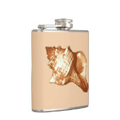 Schets van de schelp van de kegel - bruin, wit en  heupfles (Rechts)