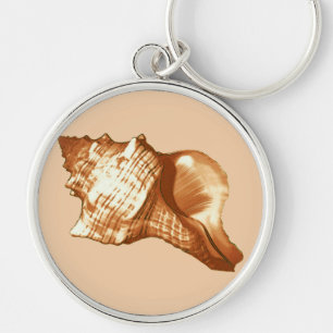 Schets van de schelp van de kegel - bruin, wit en  sleutelhanger