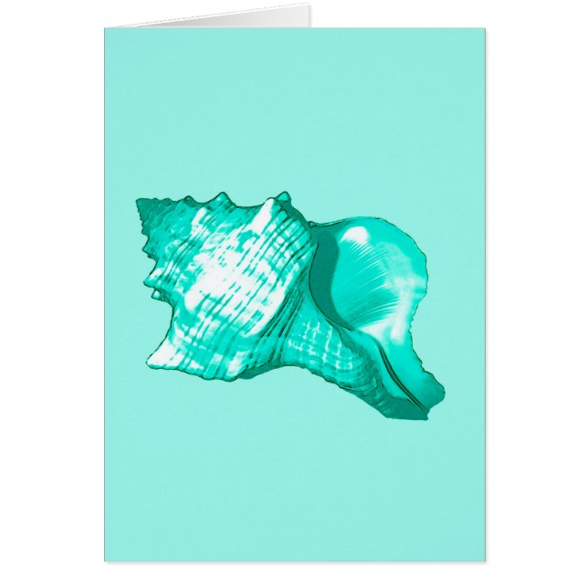 Schets van de schelp van de kegel - turquoise, wit (Voorkant)
