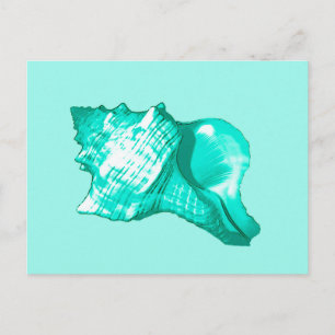 Schets van de schelp van de kegel - turquoise, wit briefkaart