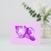 Schets van de schelp van de kegel - violet, wit en briefkaart (Staand voorkant)