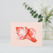 Schets van de schelp van de sluiting - koraal, roz briefkaart (Staand voorkant)