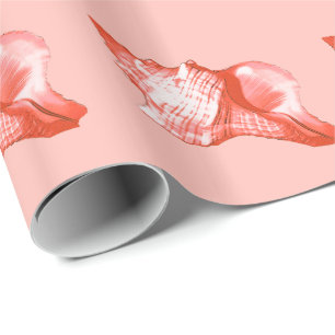 Schets van de schelp van de sluiting - koraal, roz cadeaupapier