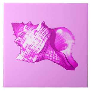 Schets van een conchschelp - tinten orchidee en wi tegeltje
