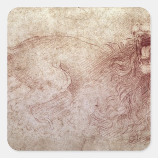 Schets van een opgewonden leeuw vierkante sticker (Voorkant)