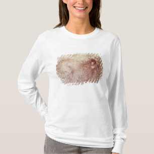 Schets van een ronddraaiende leeuw (rode krijt op  t-shirt