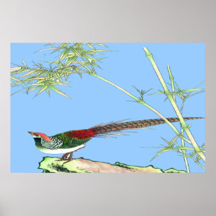 Schets van het staande poster 7