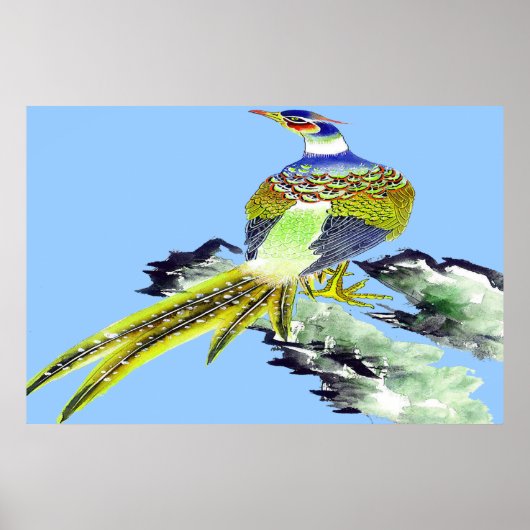 Schets van het staande poster van de fazant 5 (Voorkant)